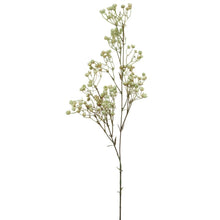 Natural Dried Look Linum Spray