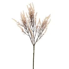 Coffee Cream Flocked Veronica Spray