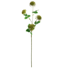Green Fireball Spray