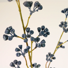 Blue Huckleberry Spray