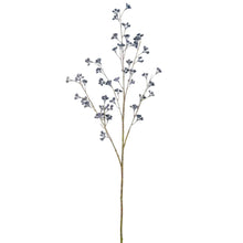 Blue Huckleberry Spray