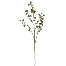 Green Huckleberry Spray