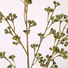 Green Huckleberry Spray
