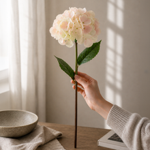 Blush Giant Hydrangea Stem
