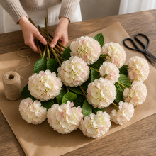Blush Giant Hydrangea Stem
