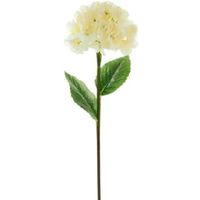 Ivory Giant Hydrangea Stem