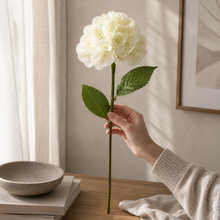 Ivory Giant Hydrangea Stem