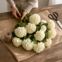 Ivory Giant Hydrangea Stem