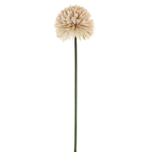Nude Large Allium Pom Pom