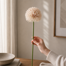 Nude Large Allium Pom Pom