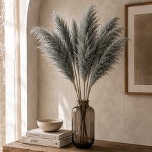 Grey Large Fluffy Pampas Grass