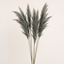 Grey Large Fluffy Pampas Grass