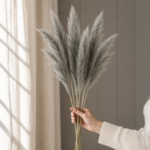 Grey Large Fluffy Pampas Grass