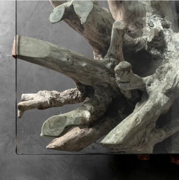 Teak Root Rectangular Coffee Table – HomePlus Furniture