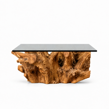 Teak Root Square Coffee Table