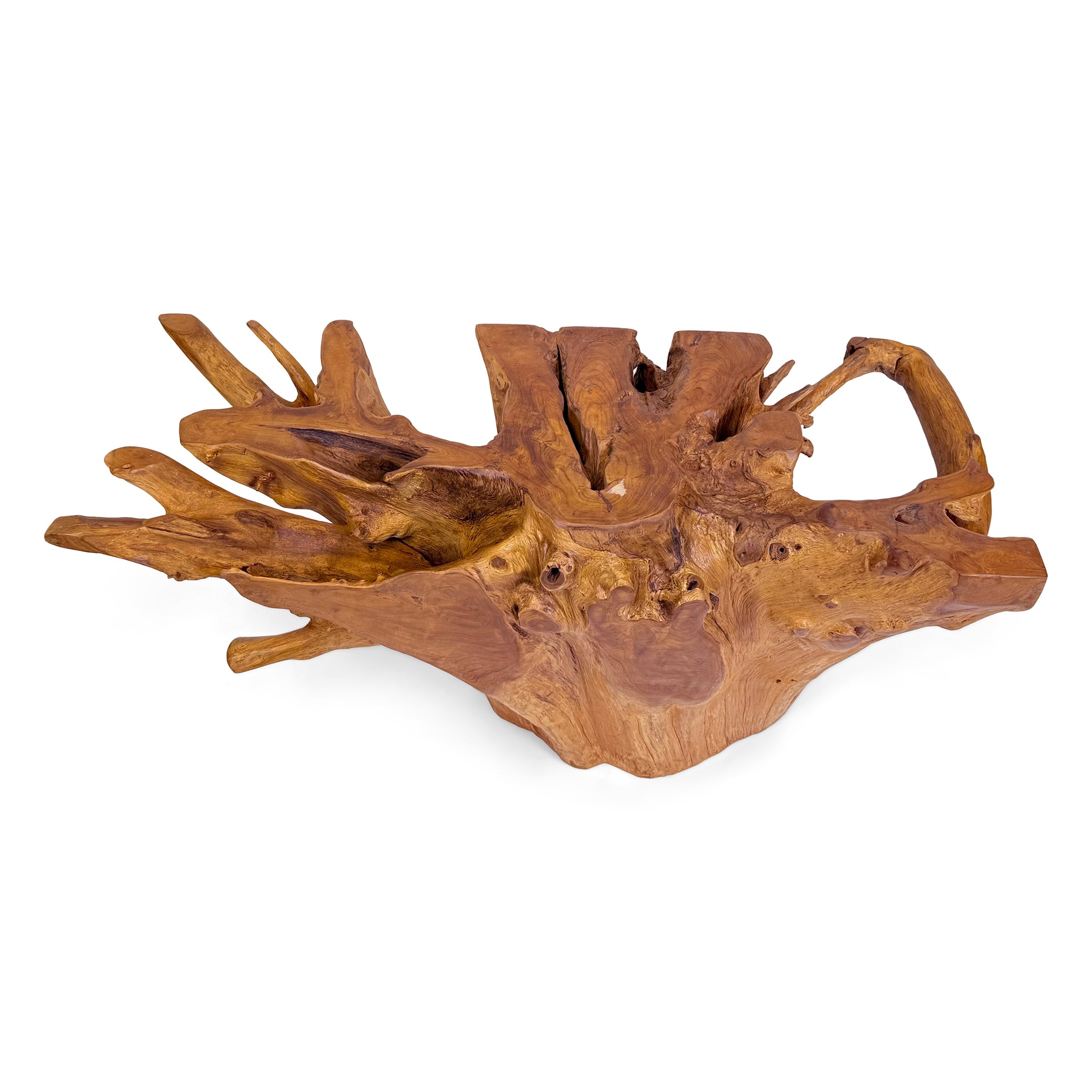 Teak Root Large Rectangular Dining Table – HomePlus Furniture