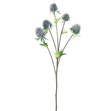 Thistle Spray