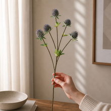 Thistle Spray